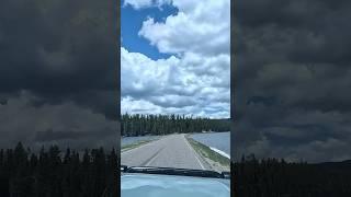 Unique Road at Yellowstone National Park