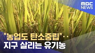 "농업도 탄소중립"‥지구 살리는 유기농 (2022.09.30/뉴스투데이/MBC)