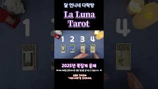 #라루나타로 / #제네럴리딩 / #픽원타로 /#팩폭주의 #shorts #tarot #2025년운세