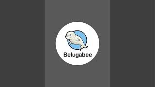 Belugabee is live!