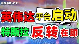 股票|美股|美股分析|英伟达平台启动？特斯拉反转在即？#NVDA#TSLA