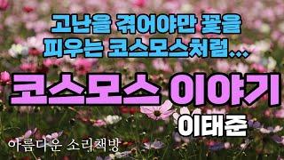 팔자 좋다며 호사스럽게 시집간 명옥 그러나...ㅣ코스모스 이야기 - 이태준 ㅣ한국현대단편소설 ㅣ아름다운 소리책방