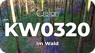 Im Wald ► KW0320