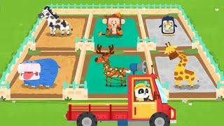 CARA PERAWATAN HEWAN LIAR BERSAMA DOKTER KIKI | GAME KARTUN | BABY BUS INDONESIA