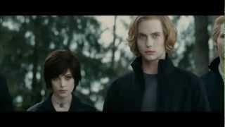 Remember The Name (The Cullens)