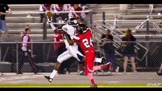 2015 WR Auden Tate 2013 season highlight remix