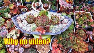 I'm struggling to edit and upload videos | Growing Succulents with LizK