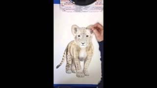 Making of "The Curious Lion Cub" by Brett Blumenthal