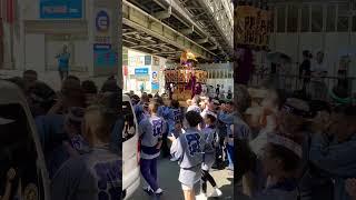 Mikoshi in Shibuya #Japan