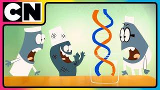 Can Science Beat the Slime?  | Lamput | New Season | Cartoon Network India