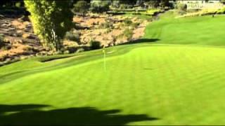 Webb Simpson's Hole In One at TPC Summerlin (2010)