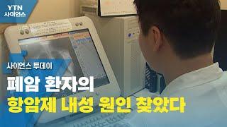 폐암 환자의 항암제 내성 원인 찾았다 / YTN 사이언스