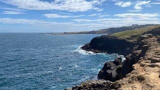 Slope Point, The Catlins, Southland - New Zealand