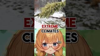 What Actually IS a LICHEN?!