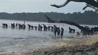 Fishing in Bougainville