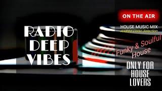 Radio Deep Vibes   House Music     Funky and Soulful