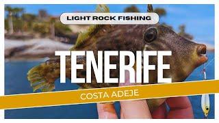 Light Rock Fishing in Tenerife (Costa Adeje) Part 1