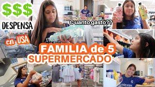 COMPRAS Del SUPERMERCADO con $300 DOLARES Para 7 Dias  ORGANIZANDO TODO! PRECIOS ALTOS en USA‼️