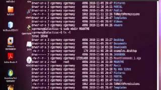 Mounting Linux, Windows and MAC Network Shares in Ubuntu 10.10 Maverick Meerkat - Part 1