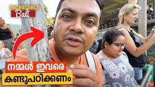 The Hindu Island of Indonesia  First Day in Bali - നമ്മൾ Bali യെ കണ്ടു പഠിക്കണം 