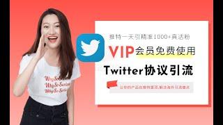 2024最新Twitter协议批量发帖引流软件_暴力推特协议群发引流营销软件 单机日发8W+ 日引600+精准粉【会员免费】