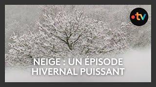 Neige en Normandie : un épisode hivernal conséquent