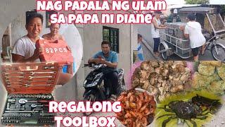 Nagpadala ng Ulam Kay Diane/Regalong Toolbox + Bagong oven