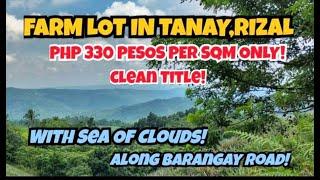 (Property#19) PHP 330 PESOS PER SQM ONLY FARM LOT IN TANAY, RIZAL WITH SEA OF CLOUDS - CLEAN TITLE !