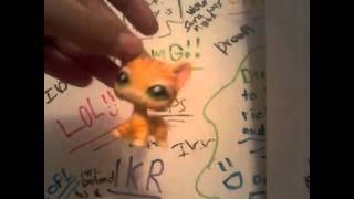 My bff (lps 2 the top) hacked me lol