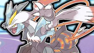 KYUREM-WHITE is super UNDERRATED... • Pokemon Scarlet/Violet VGC Battles