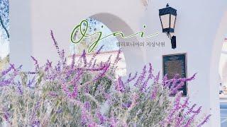 VLOGㅣ산 속의 평화로운 마을, 오하이(Ojai) 여행 브이로그  LA근교 힐링 여행지 추천ㅣ미국 캘리포니아 일상 브이로그