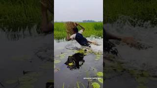 Rural Polo Fishing #fish_video #shortsvideo #viralshort #fishingtipsandtechniques