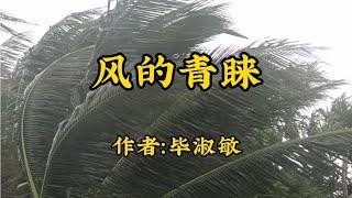 散文诵读《风的青睐》作者：毕淑敏，诵读：微读时光