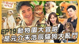 [SUB] EP19 是元介 禾浩辰 Sandy 開心農場崩潰挑戰！ 豹貓 英國鬥牛犬 長毛臘腸 高雄大亂鬥【 萌寵明星粗乃玩 】@haveapetday 呵喜 安紐 威力