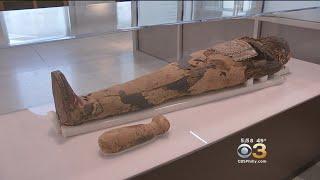 Inside Look At Penn Museum's New Ancient Egypt Display