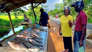 Wow!! Unveiling SECRETS of the Island Fishmonger's Traditional Market