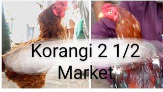 murga mandi korangi no 2 1/2.karachi market#sadermarke#habibtv#aseelmurga #aseellover#korangimarket