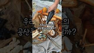 우리나라 최초의 과자는? #상식 #지식 #재미정보 #30초정보 #30초지식