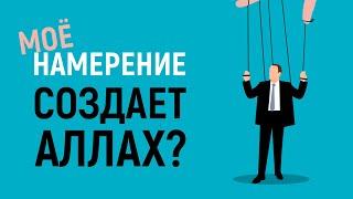 Мое намерение тоже создает Аллах? Предопределение. Свобода выбора | Рамадан аль-Буты