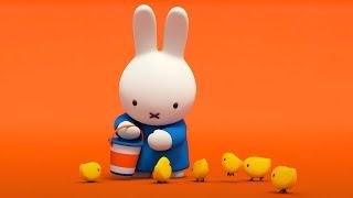 Miffy Theme Song | Miffy's Adventures Big & Small