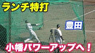 【打撃が課題と小谷野コーチの指導で打撃力アップなるか！小幡と豊田のランチ特打！】