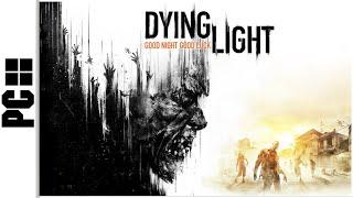 Dying Light CO-OP Nightmare Longplay (PC)