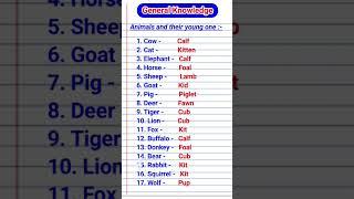 General Knowledge || Animals and their young one #gk #shorts