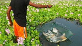 Unique net fishing in beautiful nature. Amazing fish video. Fishing Boss