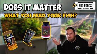 EBO Foods UK Premium Fish Food Review: Is It Worth the Investment?