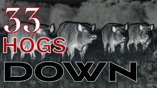 33 Hogs Down In One Night