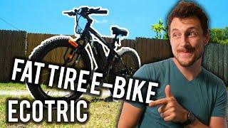 Ecotric Fat Tire Beach Snow e-bike