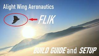 Alight Wing Aeronautics Flik Build and Basic Setup