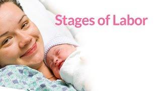 The 3 Stages of Labor by PregnancyChat.com