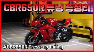 CBR650R 드레스업 총정리! - 멋이라는 것이 폭발한다! - HONDA CBR650R Dress up Tuning